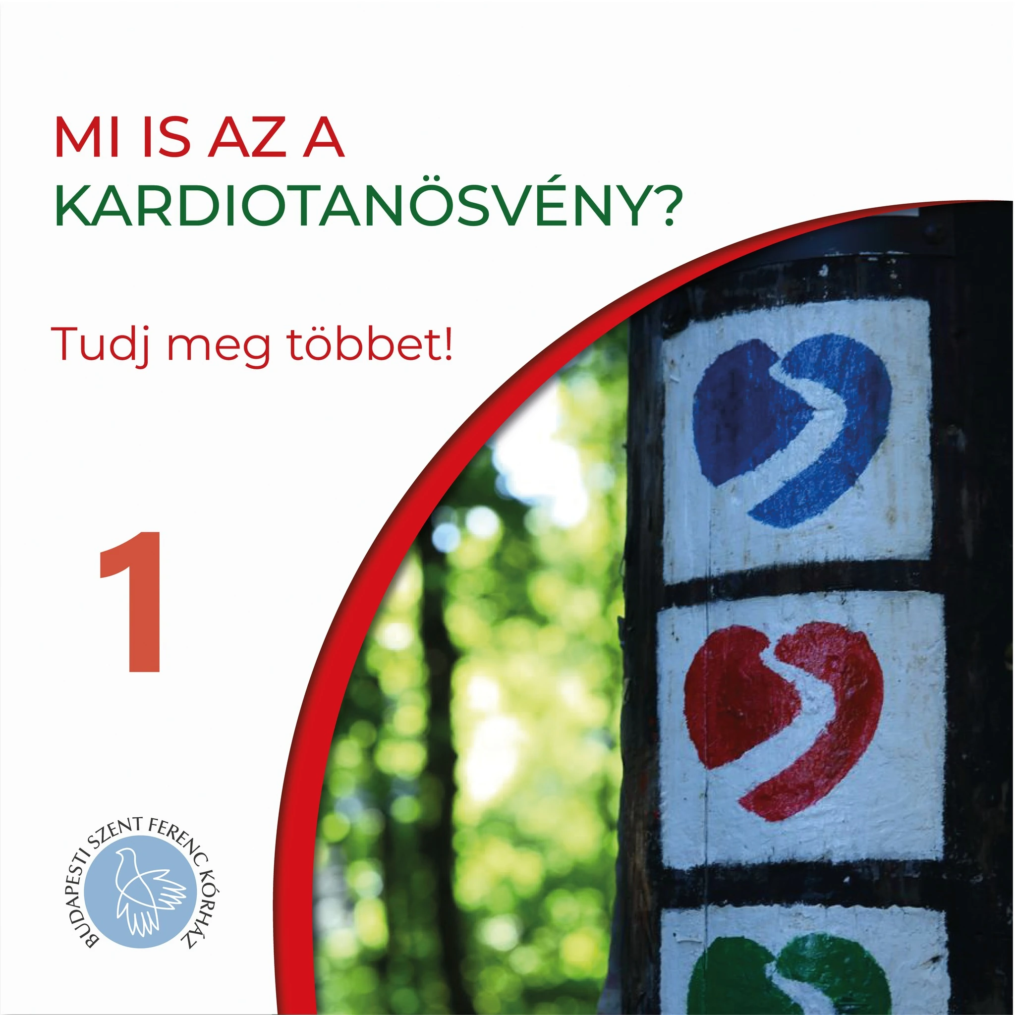 1. Mi is az a kardiotanösvény?