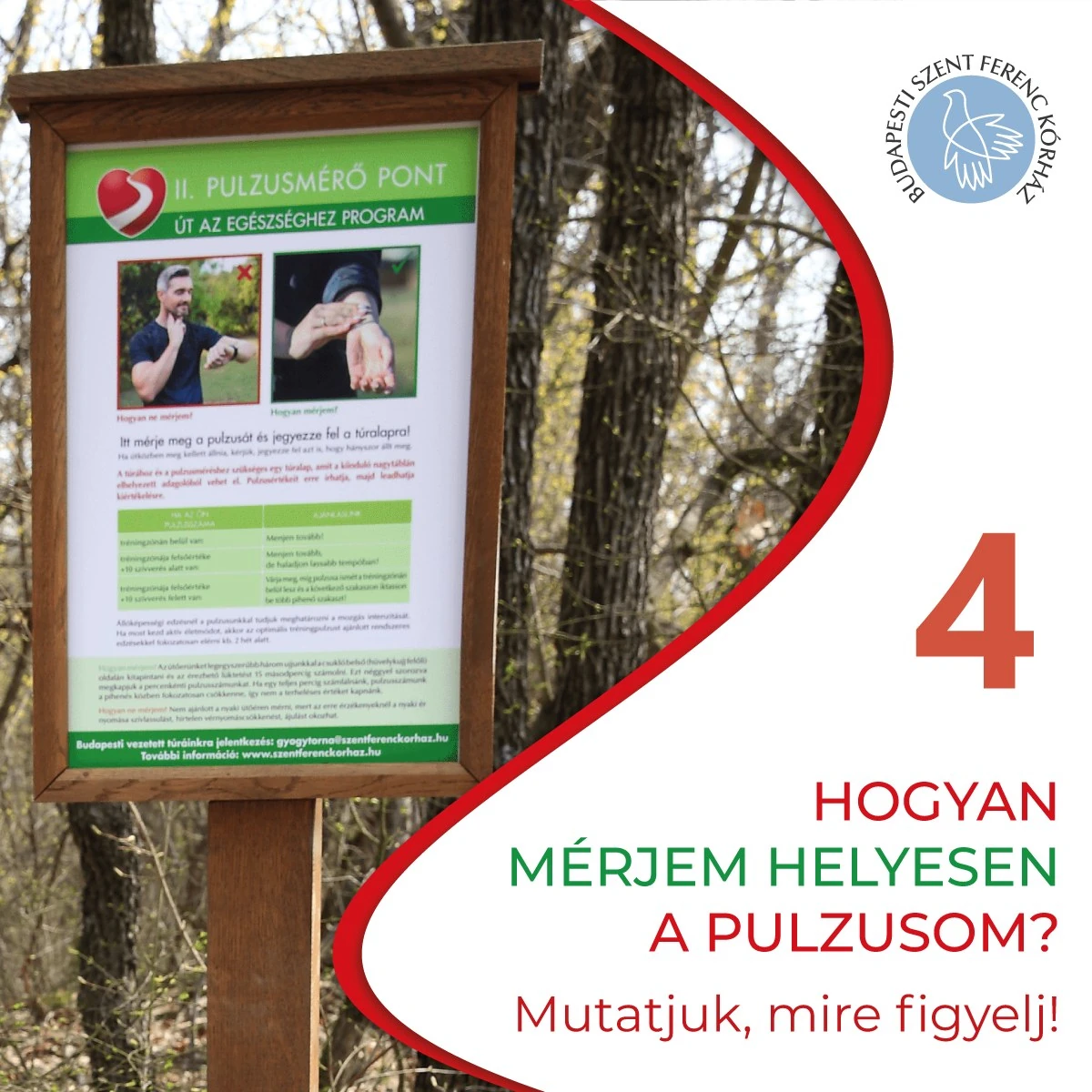 4. Mi is az a kardiotanösvény?