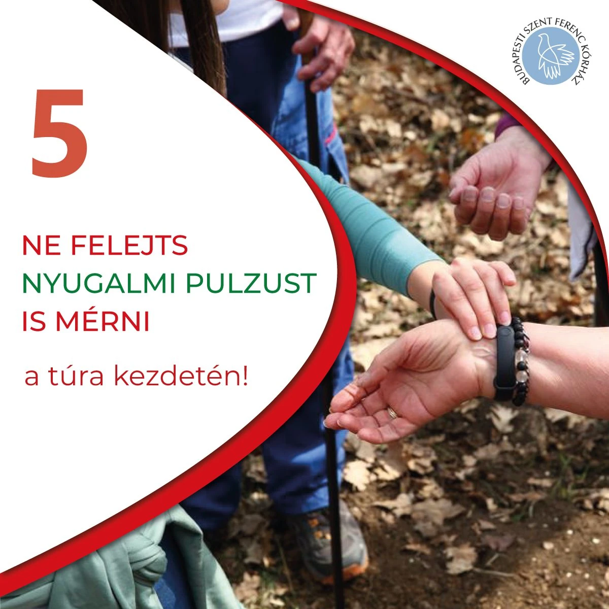5. Mi is az a kardiotanösvény?