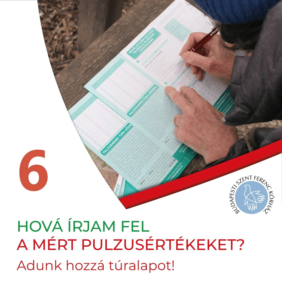 6. Mi is az a kardiotanösvény?