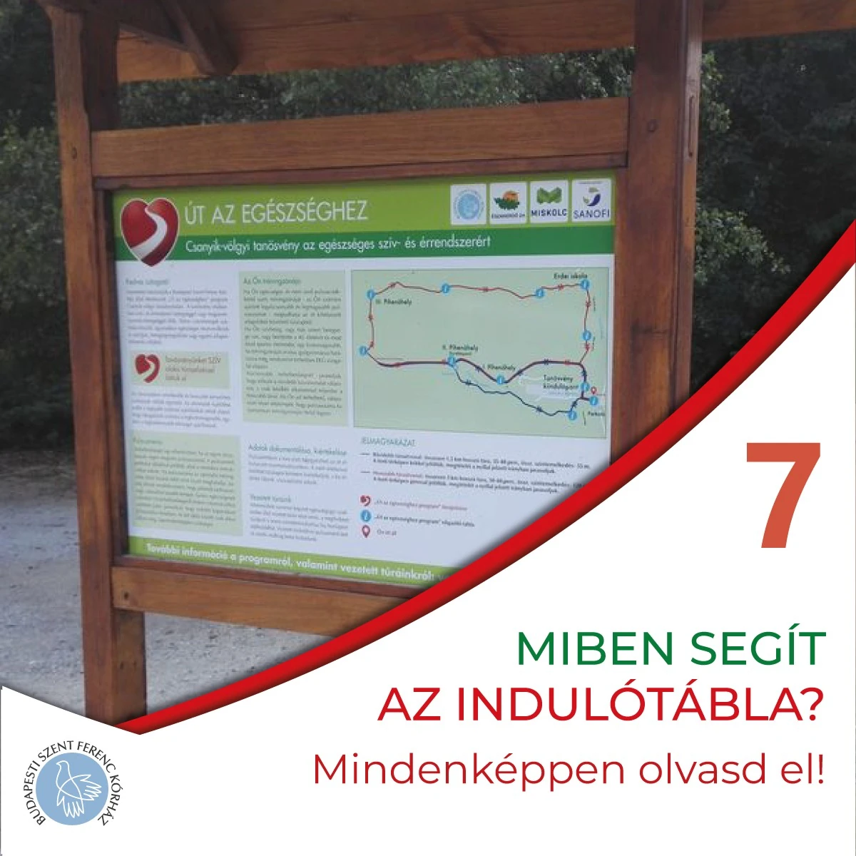 7. Mi is az a kardiotanösvény?