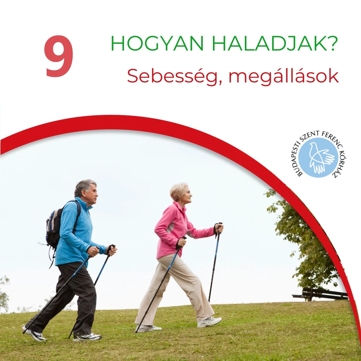 9. Mi is az a kardiotanösvény?