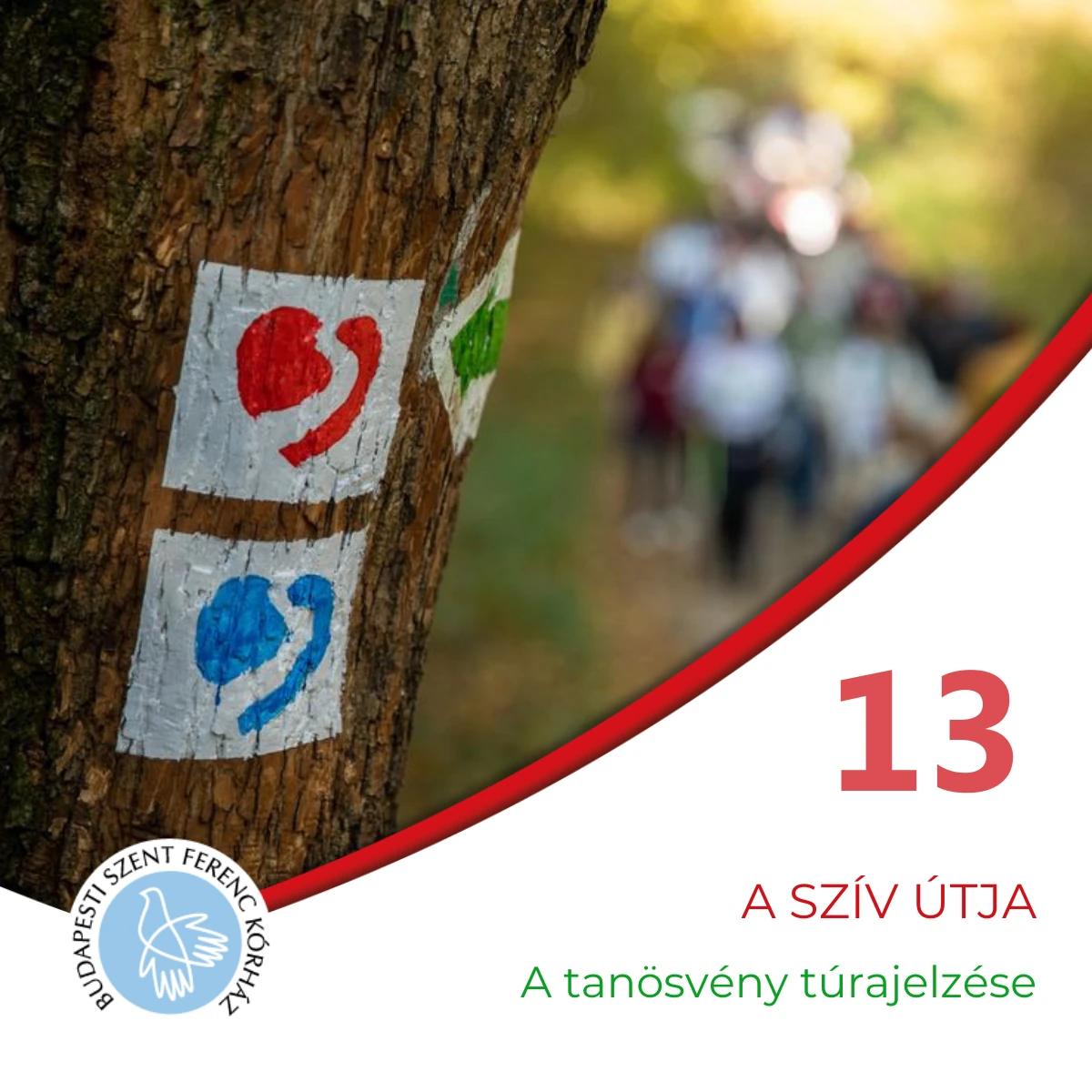 13. Mi is az a kardiotanösvény?