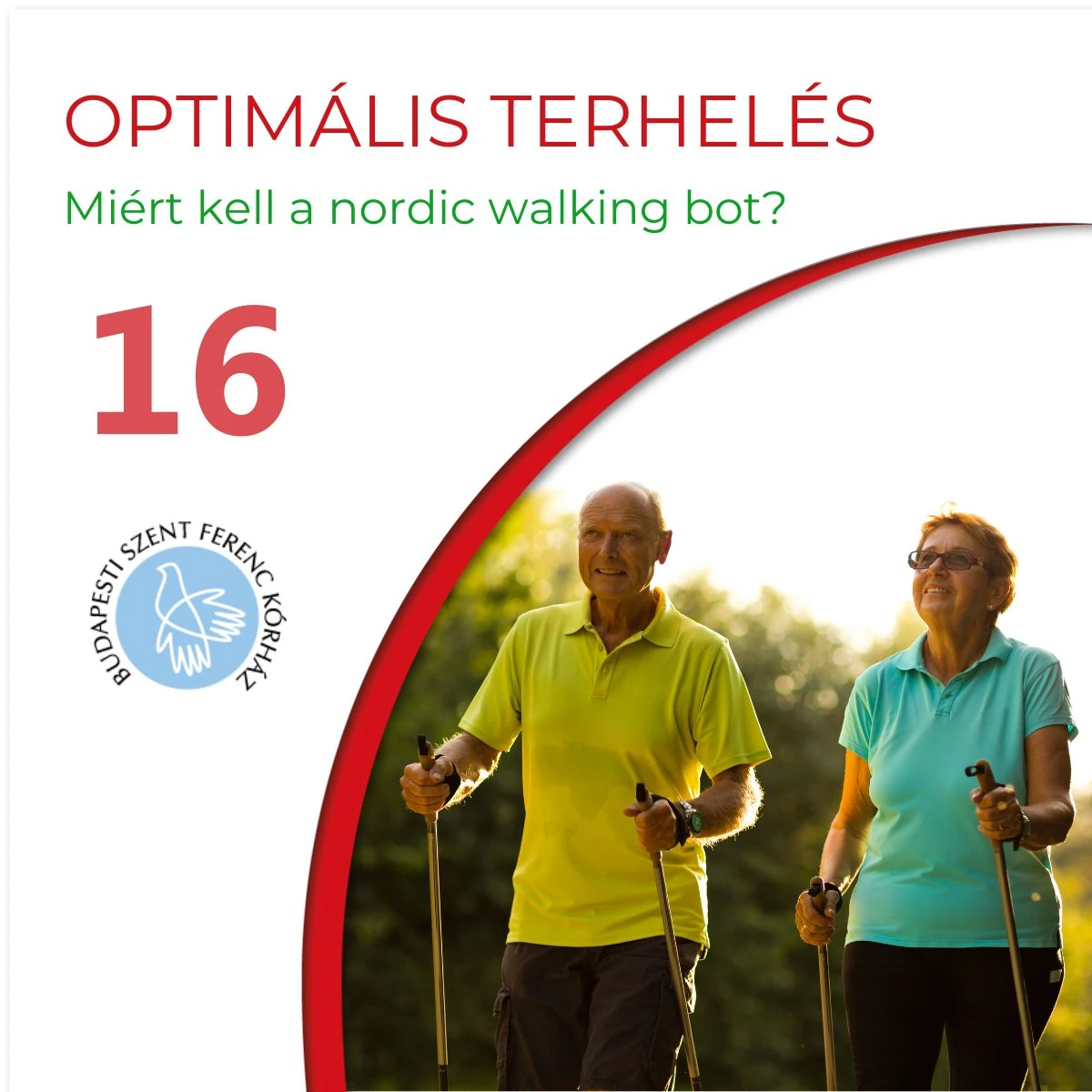 16. Mi is az a kardiotanösvény?