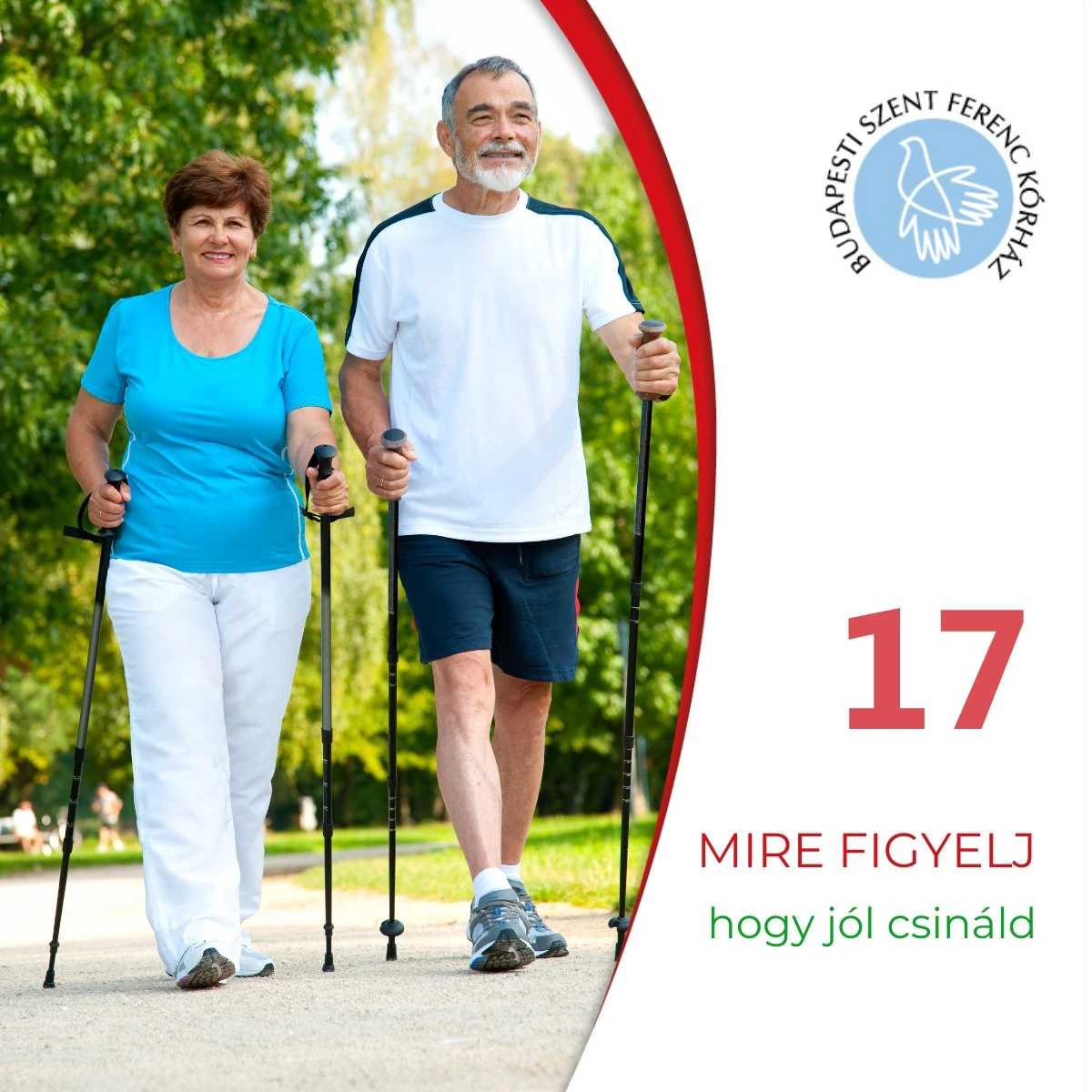 17. Mi is az a kardiotanösvény?