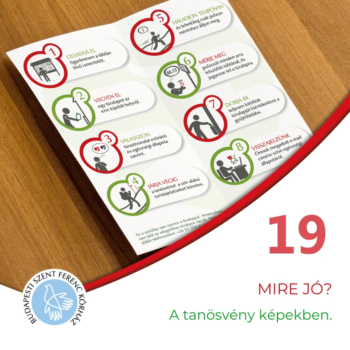 19. Mi is az a kardiotanösvény?